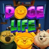 Doge Life game thumbnail